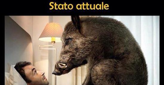 Stato attuale | BESTI.it - immagini divertenti, foto, barzellette, video