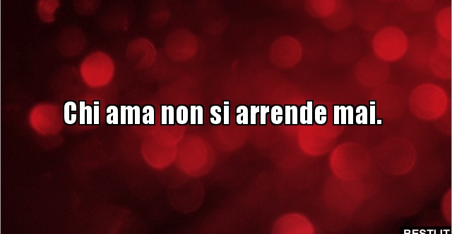Sopravvissuti Storie Di Chi Non Si Arrende Chi ama non si arrende mai... | BESTI.it - immagini divertenti, foto