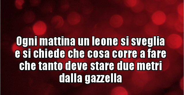 Ogni Giorno Una Gazzella Si Sveglia Parodia
