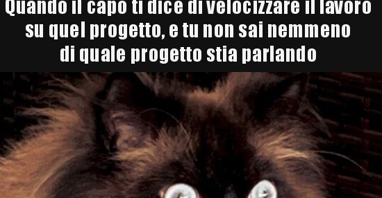 Quando Il Capo Ti Prende Di Mira Quando il capo ti dice di velocizzare il lavoro su quel.. | BESTI.it