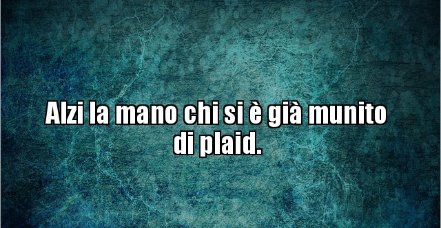 Alzi la mano chi si è già munito di plaid... BESTI.it immagini