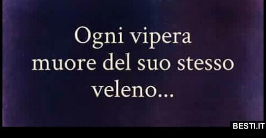 Ogni Vipera Muore Del Suo Stesso Veleno
