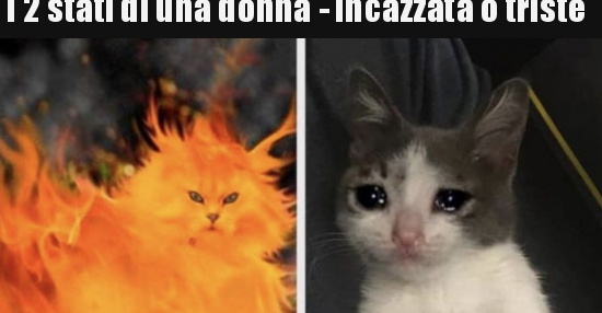 I 2 Stati Di Una Donna Incazzata O Triste Besti It Immagini Divertenti Foto Barzellette Video