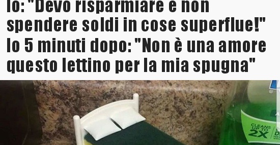 Devo smettere di spendere i miei soldi in cose stupide   -  immagini divertenti, foto, barzellette, video