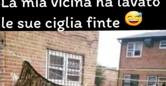 La Mia Vicina Besti It Immagini Divertenti Foto Barzellette Video