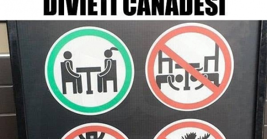 JAVD CYPS, 100 bandierine canadesi con stuzzicadenti, piccole mini decorazioni per cupcake, bandiere canadesi, decorazioni per feste, cocktail, cibo, bar, torte