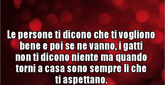 Le Persone Che Ti Vogliono Bene Frasi