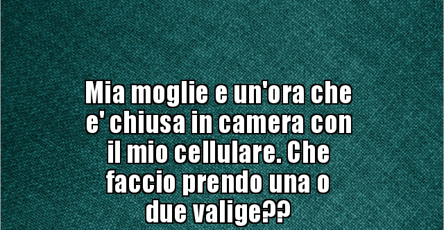 Mia Moglie E Il Mio Naso Riassunto