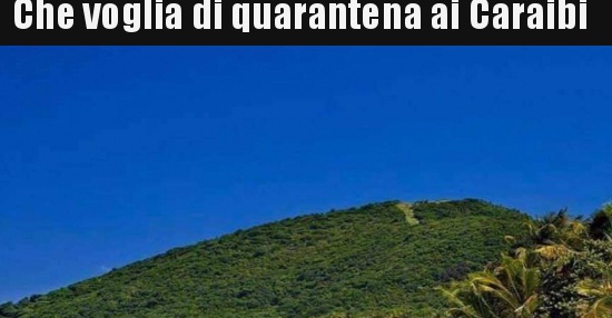 Che Voglia Di Quarantena Ai Caraibi Bestiit Immagini Divertenti Foto Barzellette Video 7063