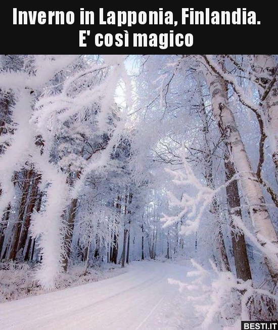 Inverno In Lapponia Finlandia E Cosi Magico Besti It Immagini Divertenti Foto Barzellette Video