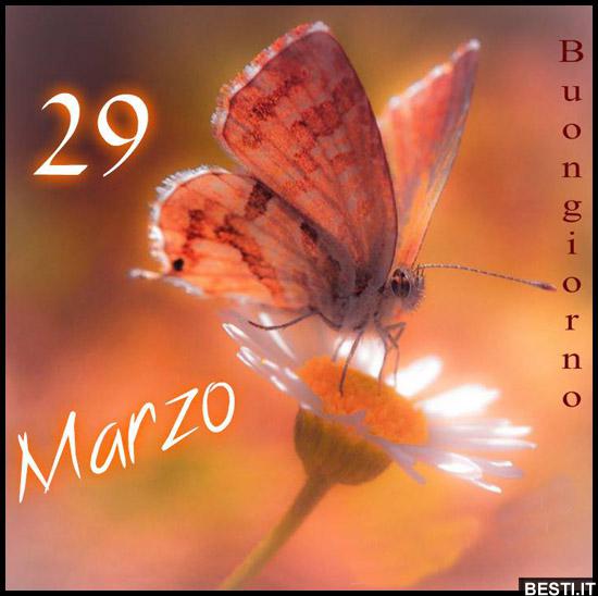 29 Marzo - Buongiorno | BESTI.it - immagini divertenti, foto ...