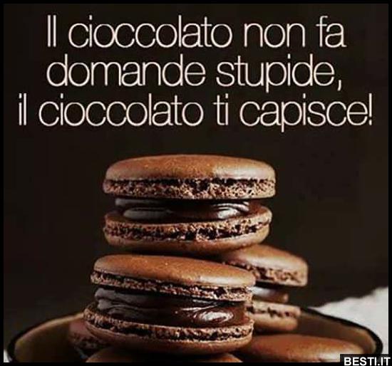 Il Cioccolato Non Fa Domande Stupide Besti It Immagini Divertenti Foto Barzellette Video