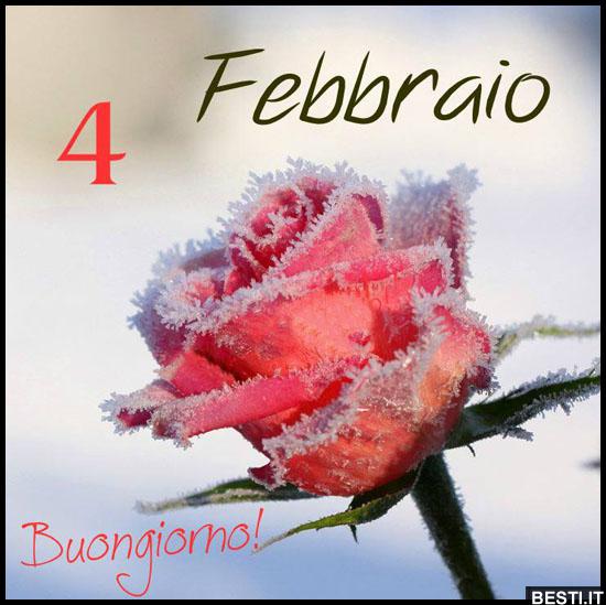 4 Febbraio - Buongiorno | BESTI.it - immagini divertenti ...