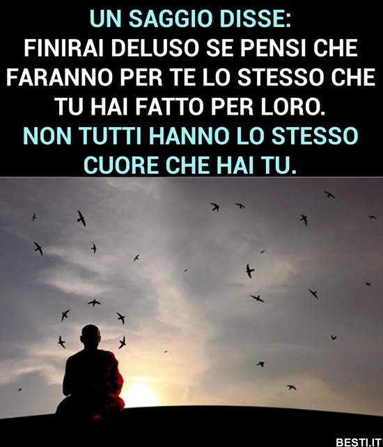 Un Saggio Disse BESTI it Immagini Divertenti Foto Barzellette Video Un Saggio Disse BESTI it Immagini Divertenti Foto Barzellette Video