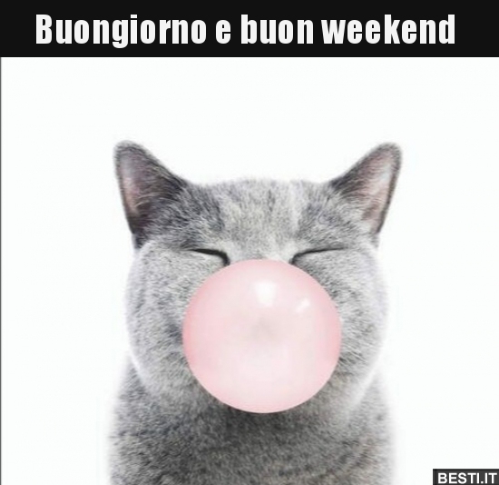 Buongiorno E Buon Weekend Besti It Immagini Divertenti Foto Barzellette Video